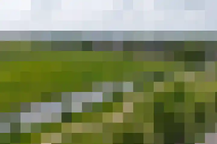 Hollandiastraat 11 Wormer thumbnail 32