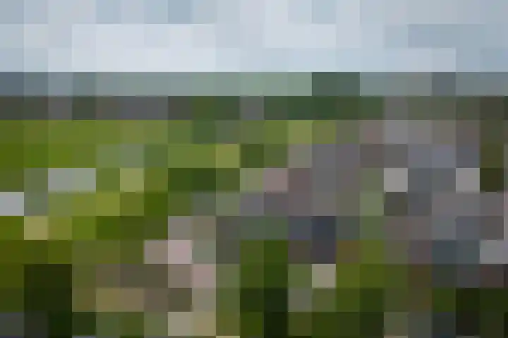 Hollandiastraat 11 Wormer thumbnail 38
