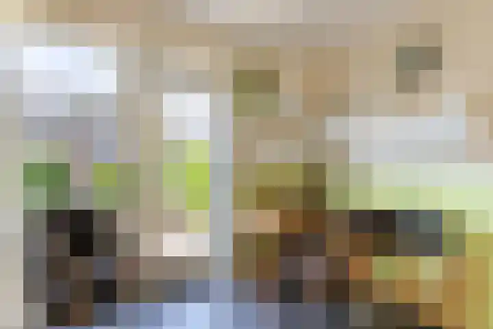 Hollandiastraat 14 Almere thumbnail 11