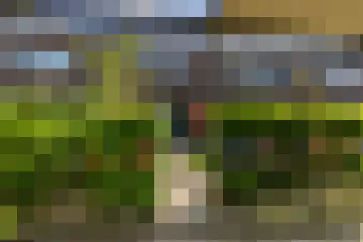 Hollandiastraat 14 Almere thumbnail 30