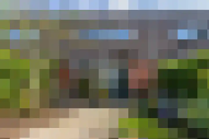 Hollandiastraat 14 Almere thumbnail 31