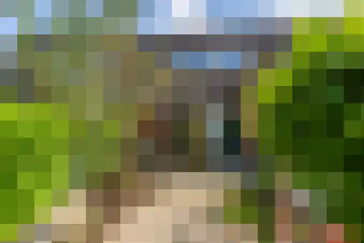 Hollandiastraat 14 Almere thumbnail 32