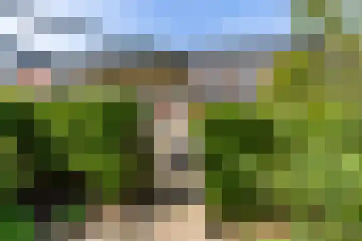 Hollandiastraat 14 Almere thumbnail 33