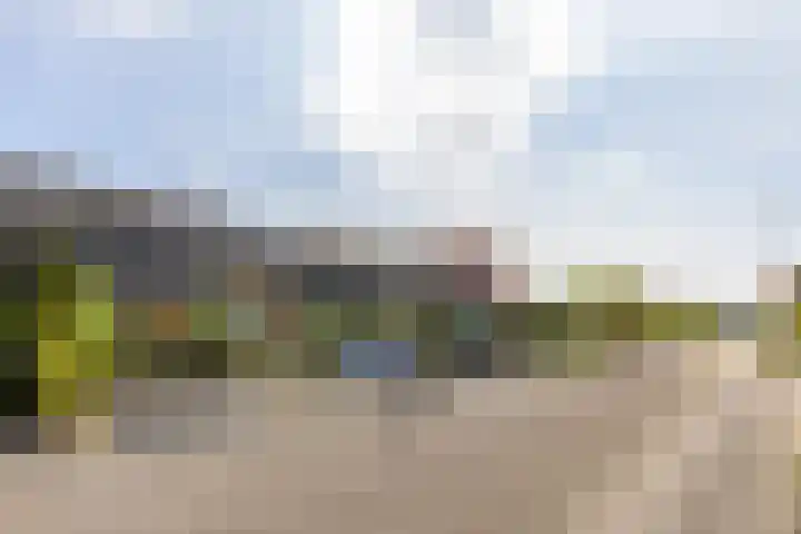 Hollandiastraat 14 Almere thumbnail 38