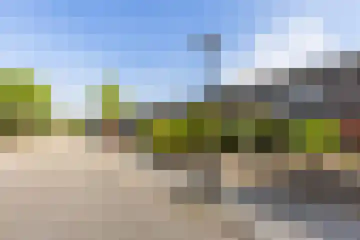Hollandiastraat 14 Almere thumbnail 39