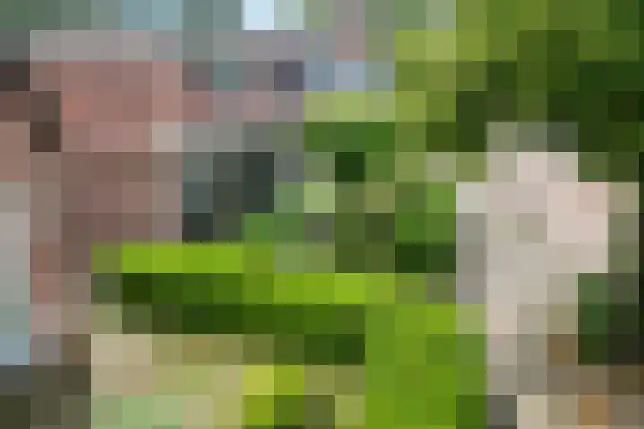 Hollandiastraat 14 Scharsterbrug thumbnail 10