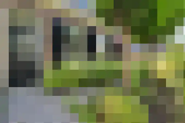 Hollandiastraat 14 Scharsterbrug thumbnail 11
