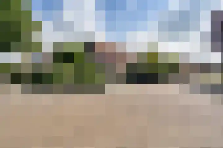 Hollandiastraat 14 Scharsterbrug thumbnail 13