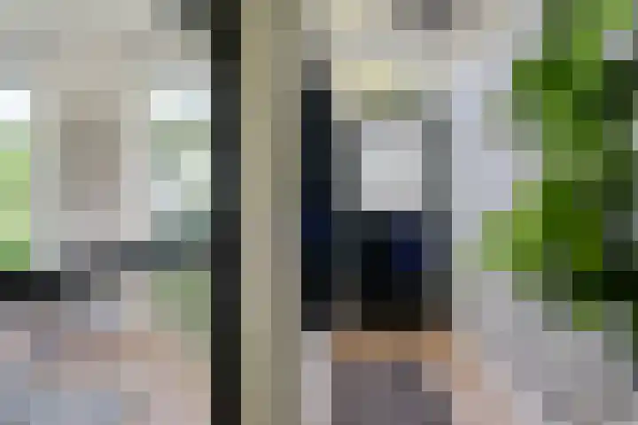 Hollandiastraat 14 Scharsterbrug thumbnail 15