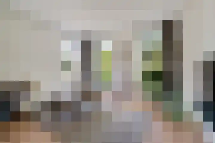Hollandiastraat 14 Scharsterbrug thumbnail 16