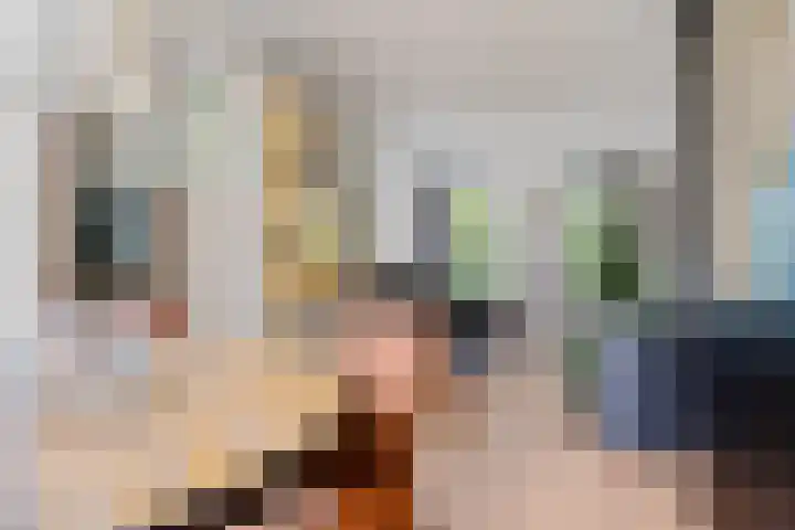 Hollandiastraat 14 Scharsterbrug thumbnail 21