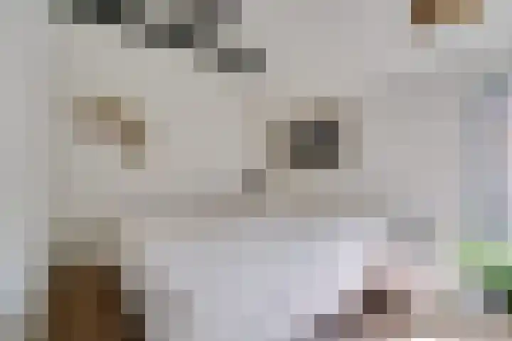 Hollandiastraat 14 Scharsterbrug thumbnail 30