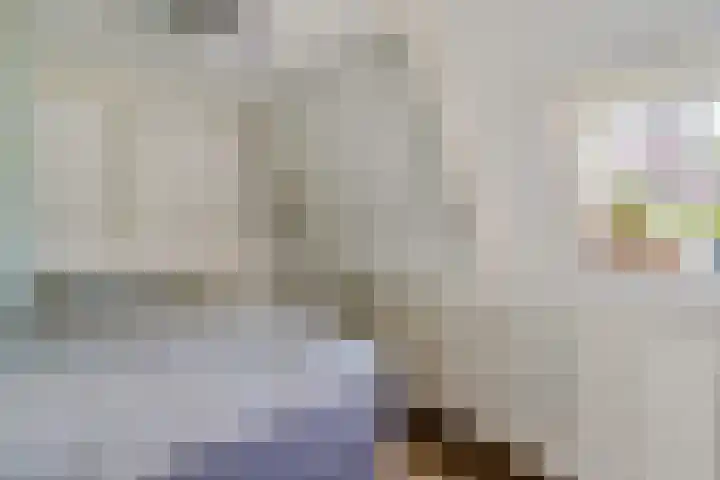 Hollandiastraat 14 Scharsterbrug thumbnail 35