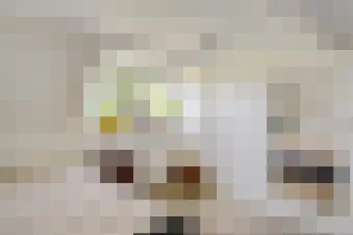 Hollandiastraat 14 Scharsterbrug thumbnail 37