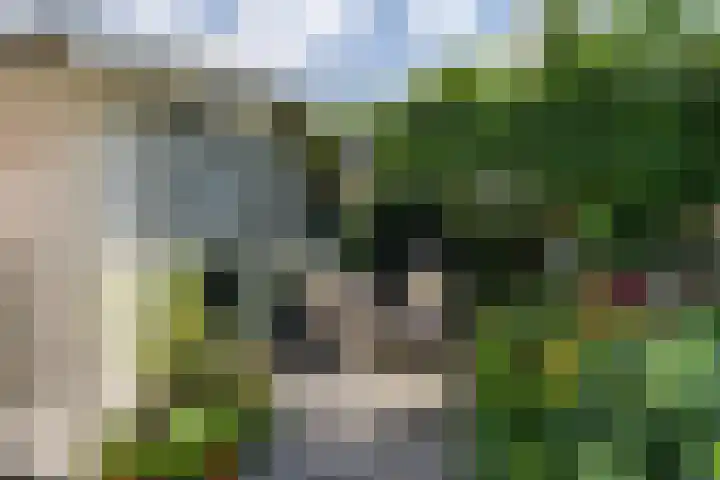 Hollandiastraat 14 Scharsterbrug thumbnail 39