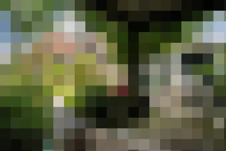 Hollandiastraat 14 Scharsterbrug thumbnail 40