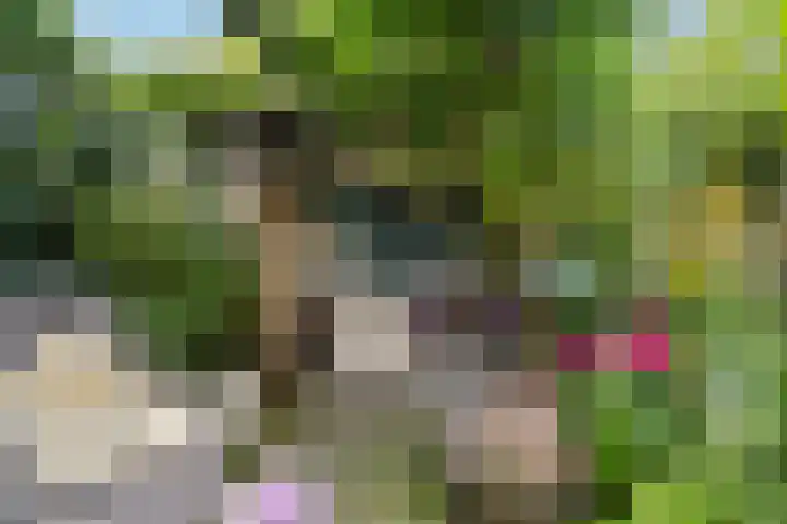 Hollandiastraat 14 Scharsterbrug thumbnail 41