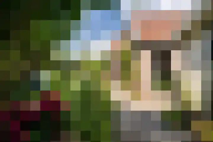 Hollandiastraat 14 Scharsterbrug thumbnail 42