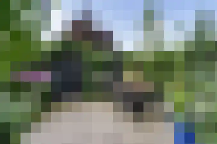 Hollandiastraat 14 Scharsterbrug thumbnail 43