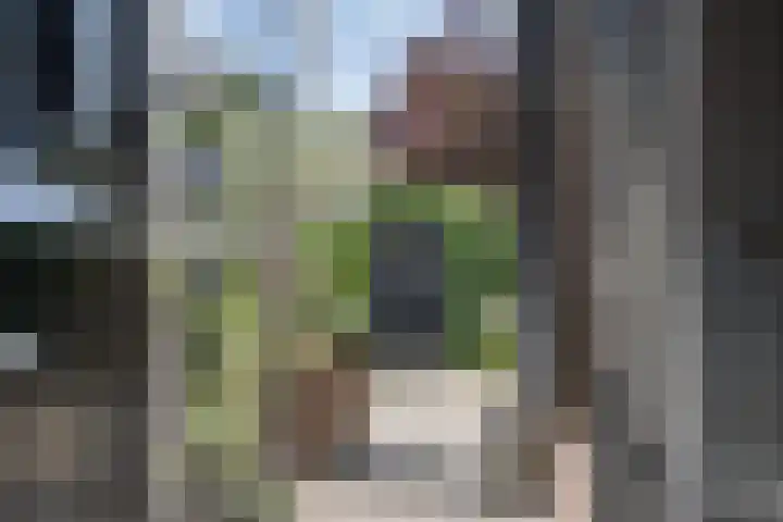 Hollandiastraat 14 Scharsterbrug thumbnail 44