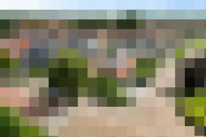Hollandiastraat 14 Scharsterbrug thumbnail 5