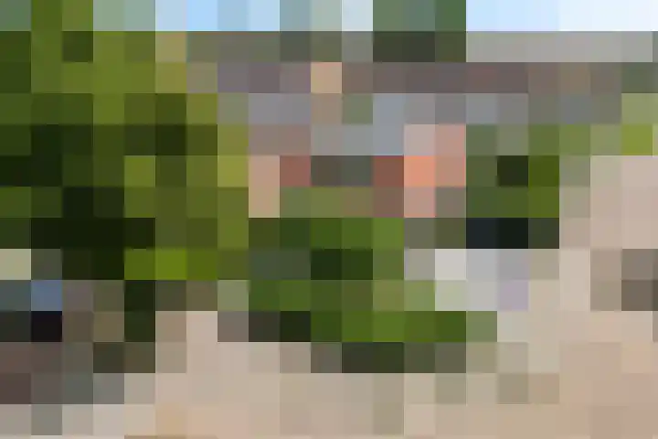 Hollandiastraat 14 Scharsterbrug thumbnail 6