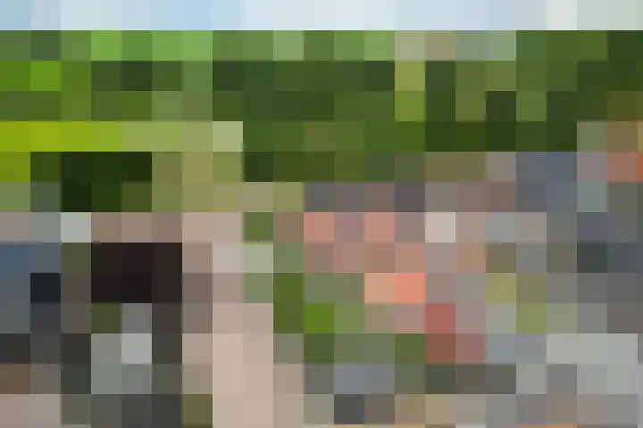 Hollandiastraat 14 Scharsterbrug thumbnail 8