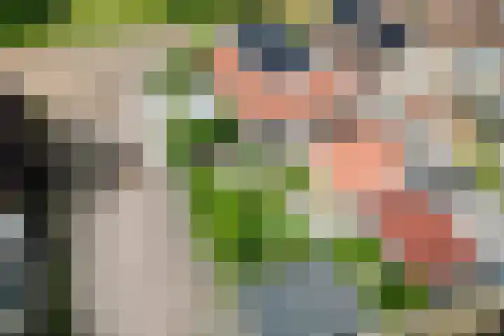 Hollandiastraat 14 Scharsterbrug thumbnail 9