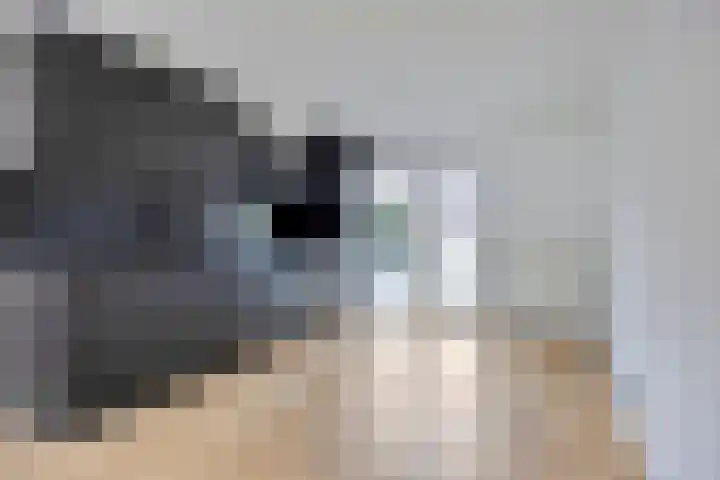 Hollandiastraat 16 Almere thumbnail 13