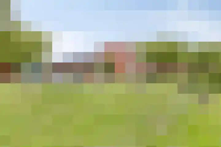 Hollandiastraat 16 Almere thumbnail 41