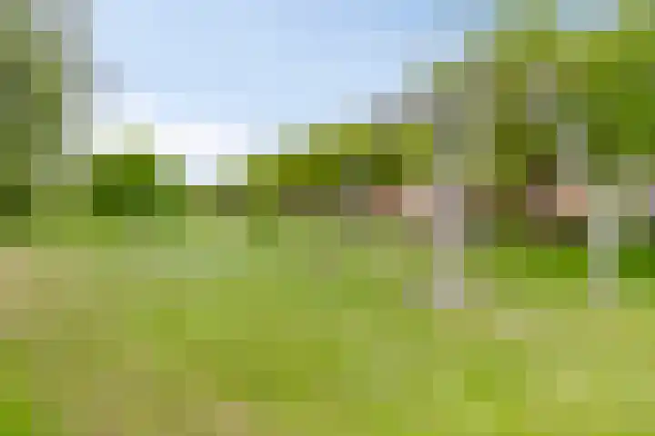 Hollandiastraat 16 Almere thumbnail 42