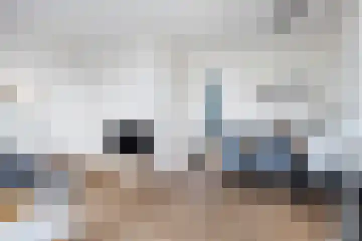 Hollandiastraat 16 Scharsterbrug thumbnail 13