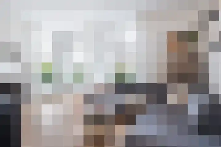 Hollandiastraat 16 Scharsterbrug thumbnail 14