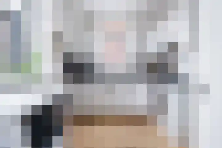 Hollandiastraat 16 Scharsterbrug thumbnail 15