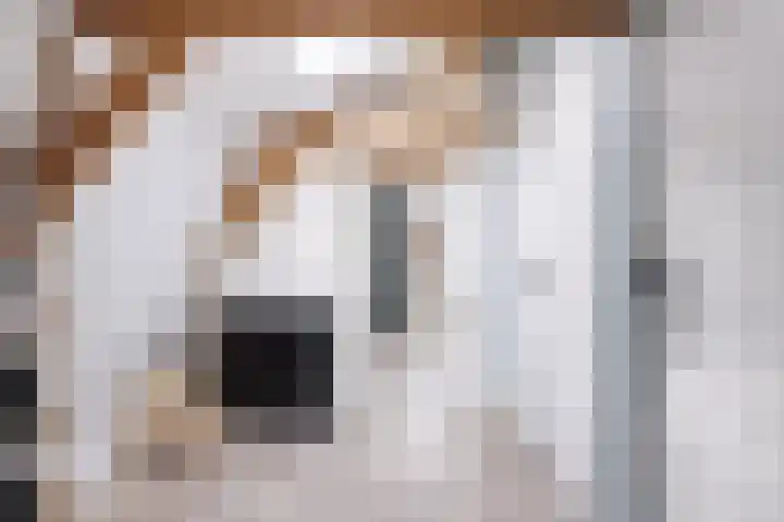 Hollandiastraat 16 Scharsterbrug thumbnail 20