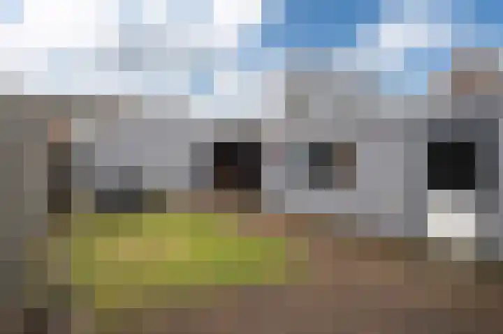 Hollandiastraat 16 Scharsterbrug thumbnail 29