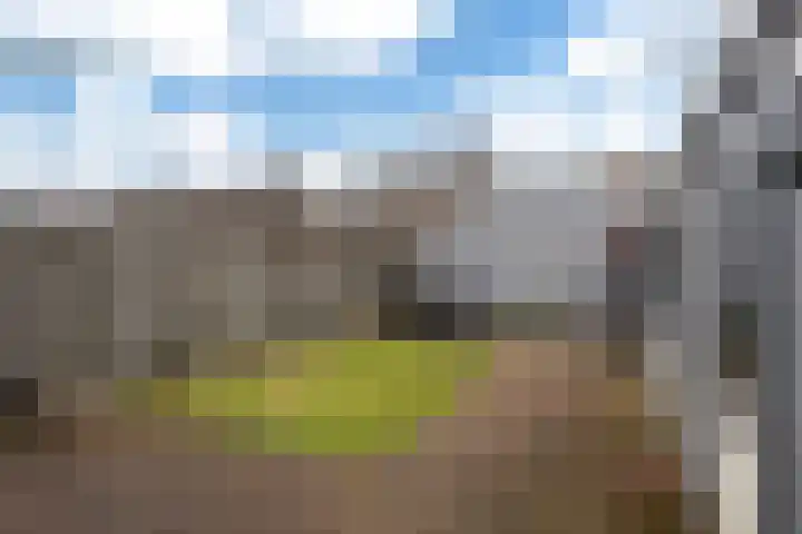 Hollandiastraat 16 Scharsterbrug thumbnail 30