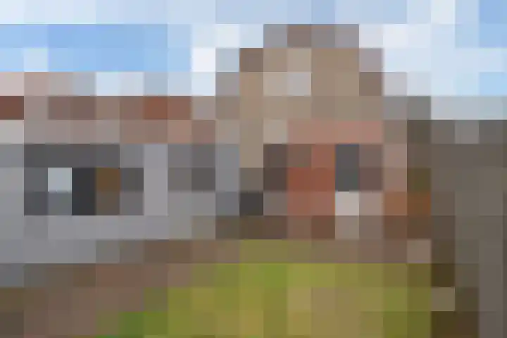 Hollandiastraat 16 Scharsterbrug thumbnail 32