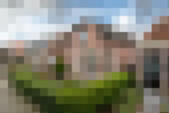 Hollandiastraat 16 Scharsterbrug thumbnail 4