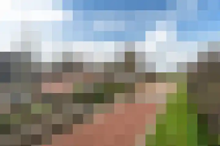 Hollandiastraat 16 Scharsterbrug thumbnail 6
