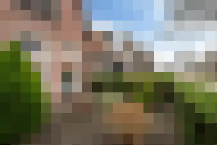Hollandiastraat 16 Scharsterbrug thumbnail 7