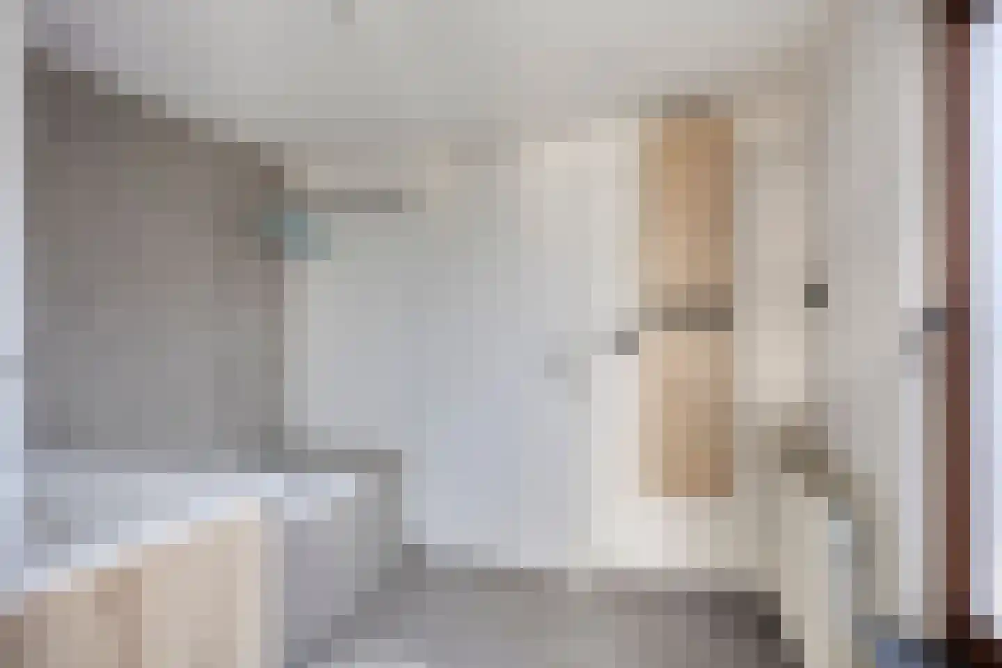 Hollandiastraat 2 Sas van Gent thumbnail 10