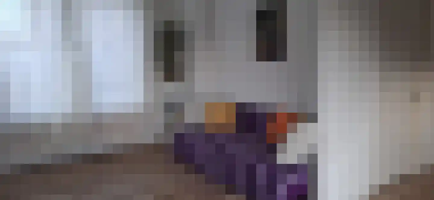 Hollandiastraat 2 Sas van Gent thumbnail 10