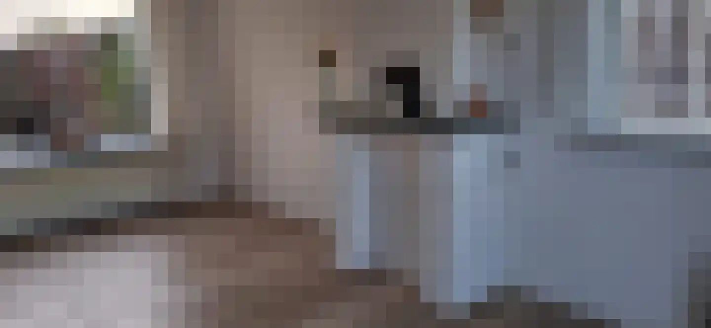 Hollandiastraat 2 Sas van Gent thumbnail 11