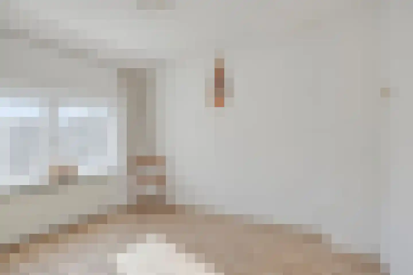 Hollandiastraat 2 Sas van Gent thumbnail 16