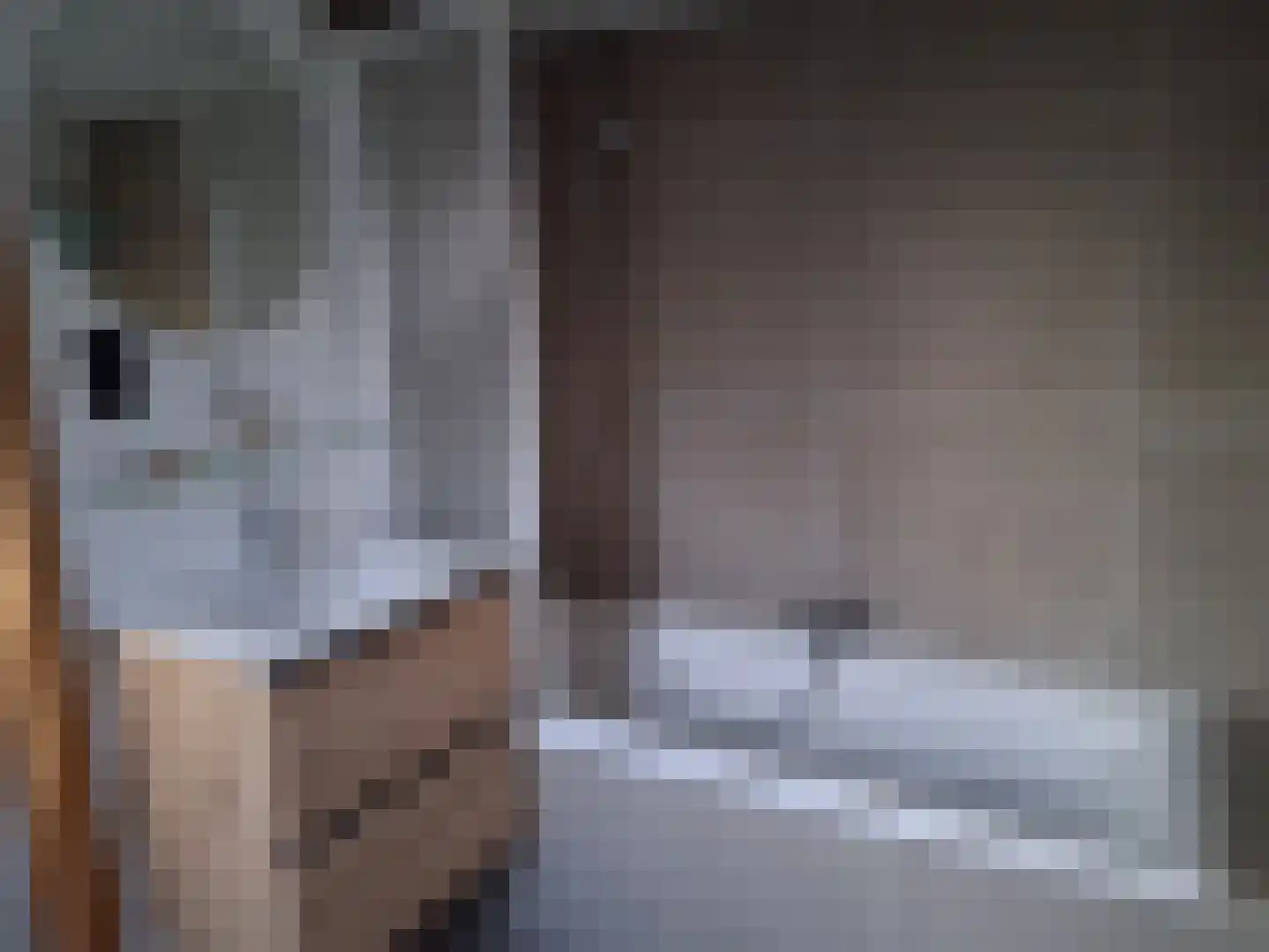 Hollandiastraat 2 Sas van Gent thumbnail 16