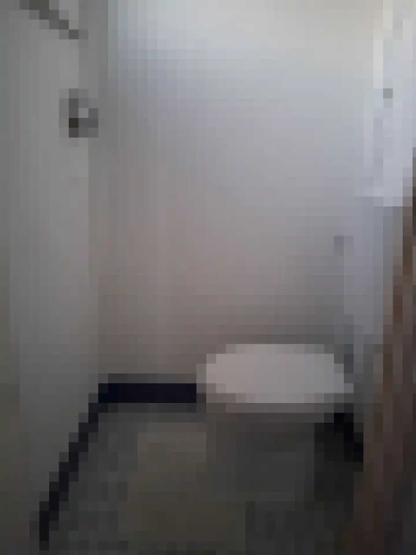 Hollandiastraat 2 Sas van Gent thumbnail 20