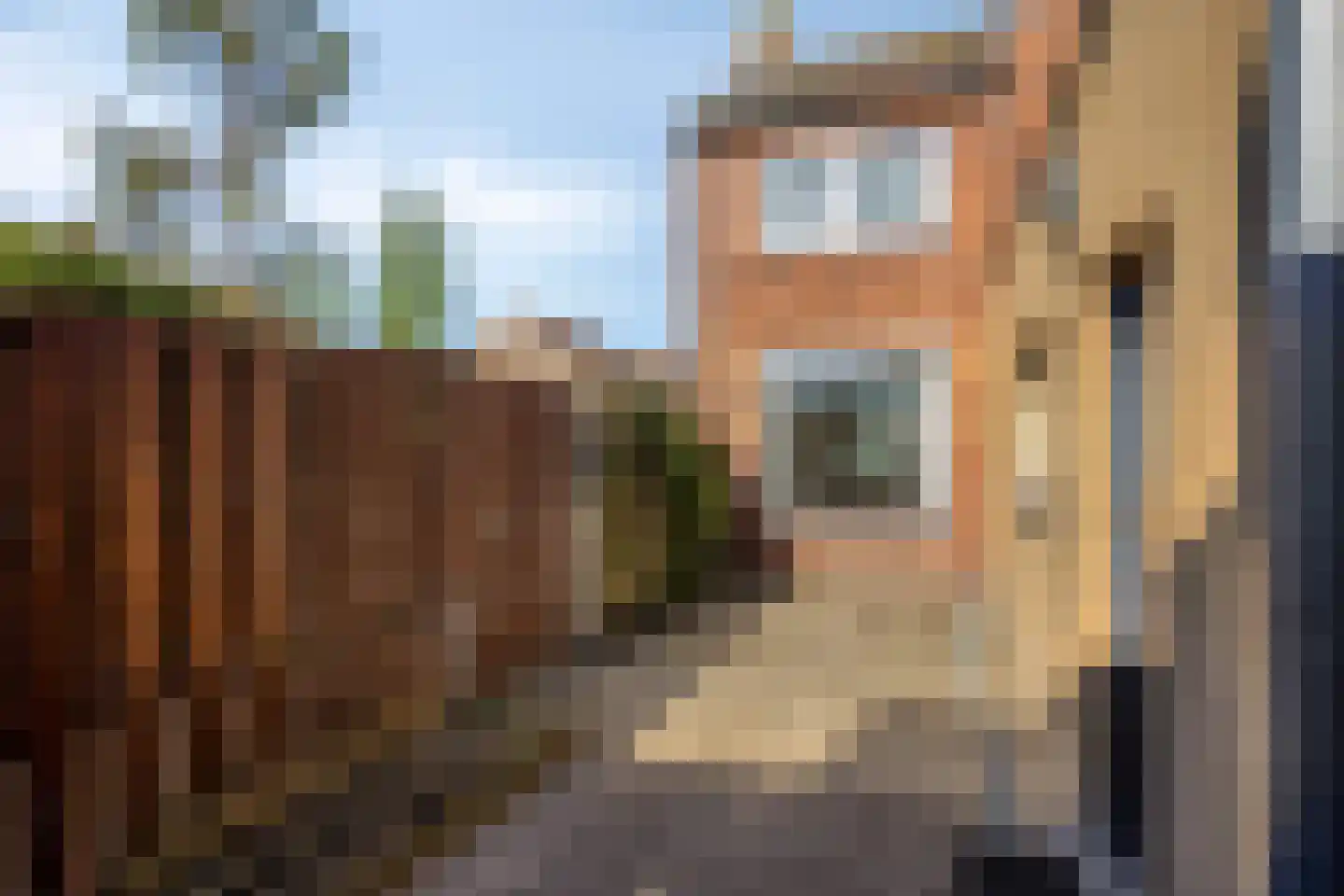 Hollandiastraat 2 Sas van Gent thumbnail 20