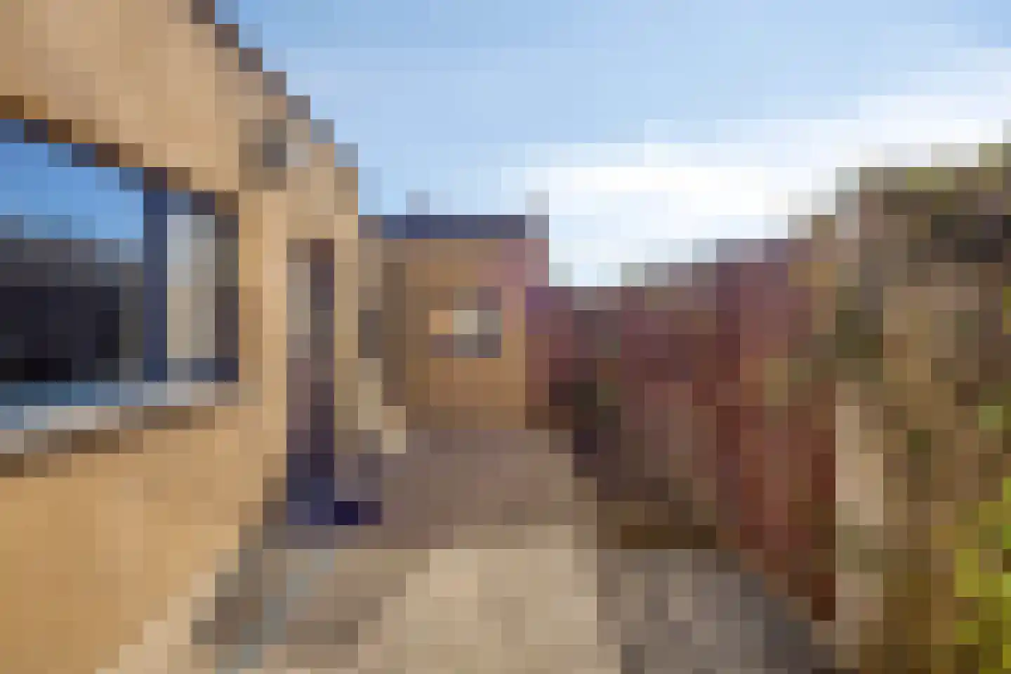 Hollandiastraat 2 Sas van Gent thumbnail 21
