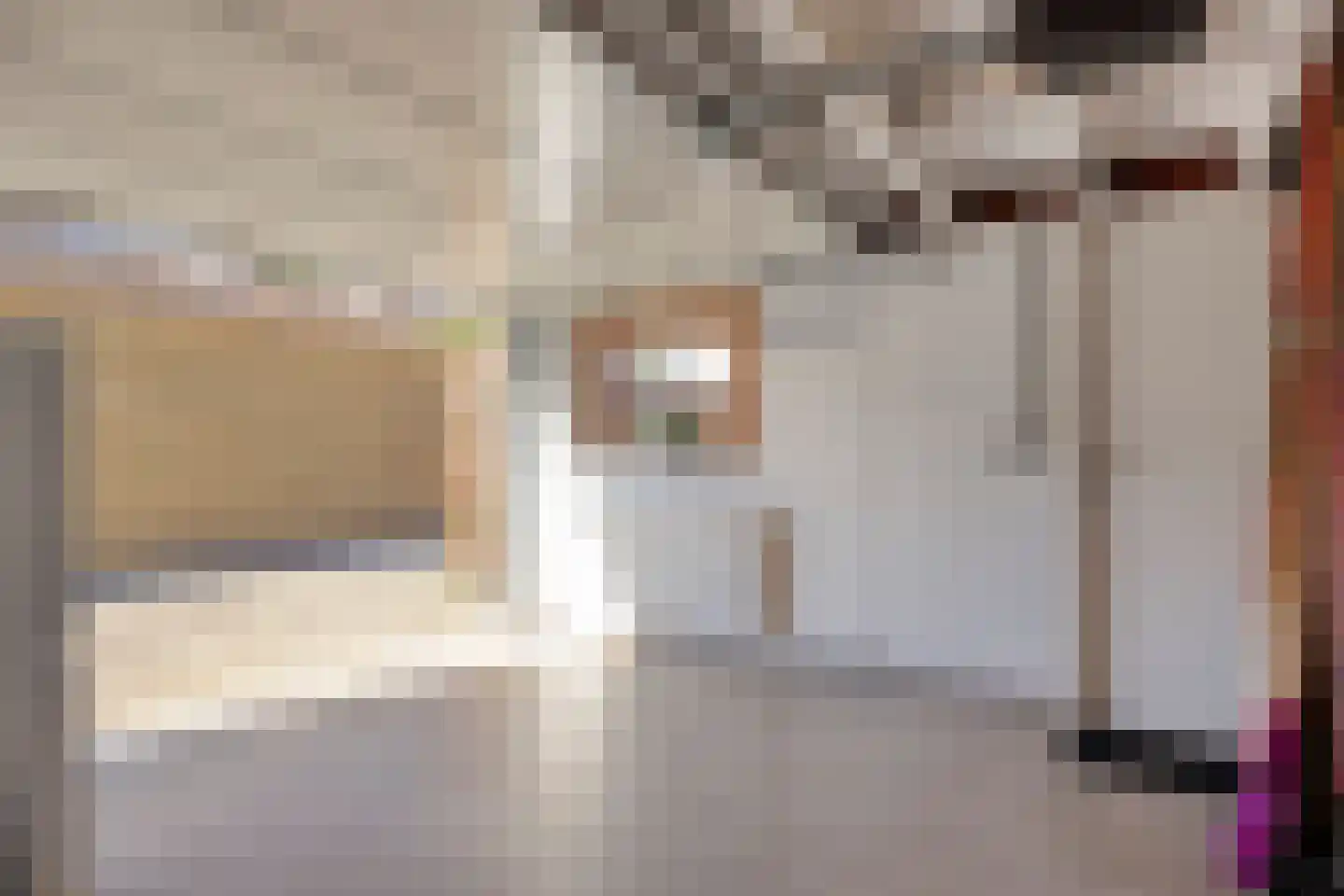 Hollandiastraat 2 Sas van Gent thumbnail 23